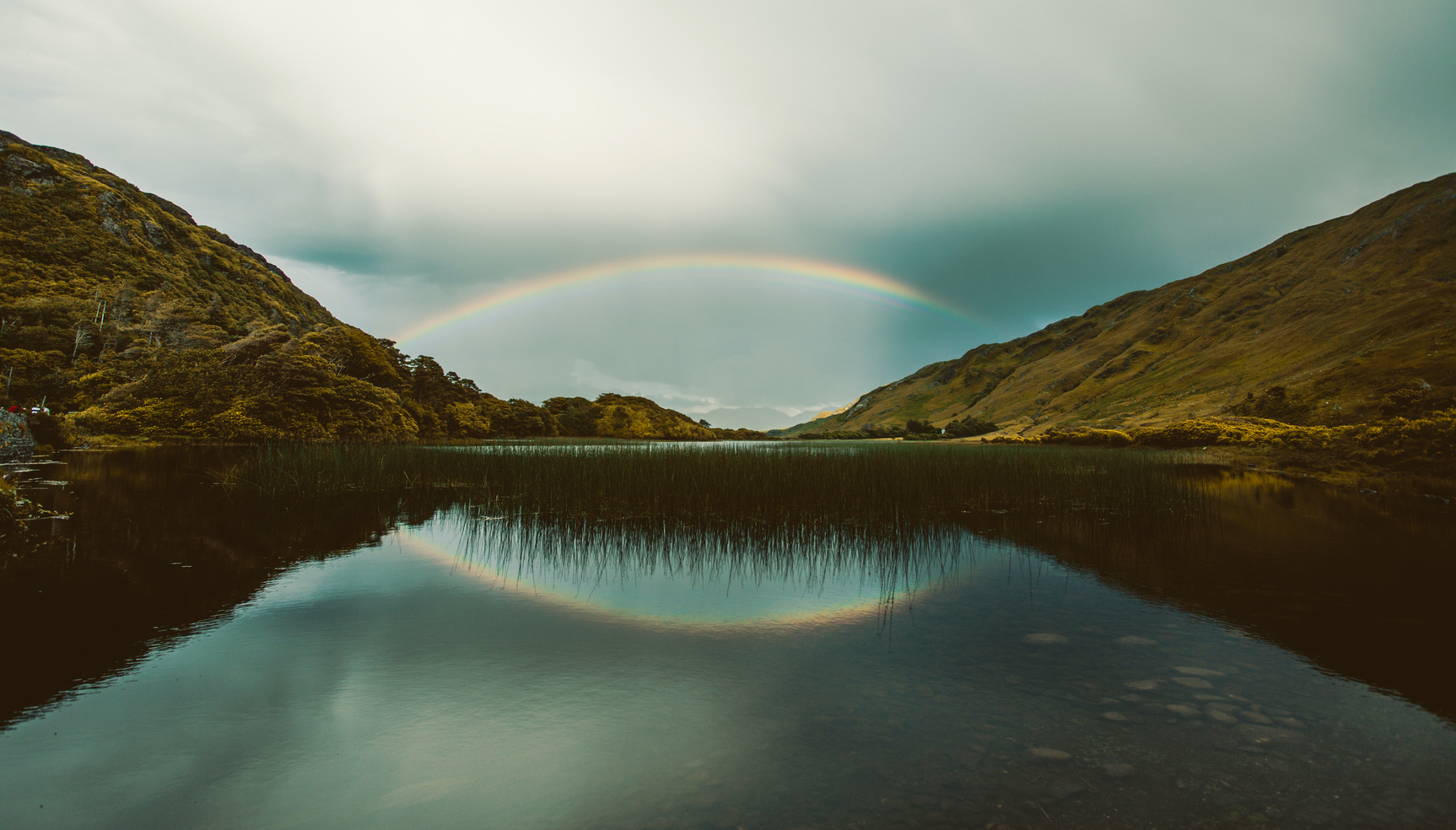 Rainbow Crop